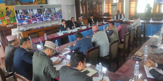 सांसदहरू सिंहदरबार छिर्न नसक्दा दुई समितिका बैठक स्थगित